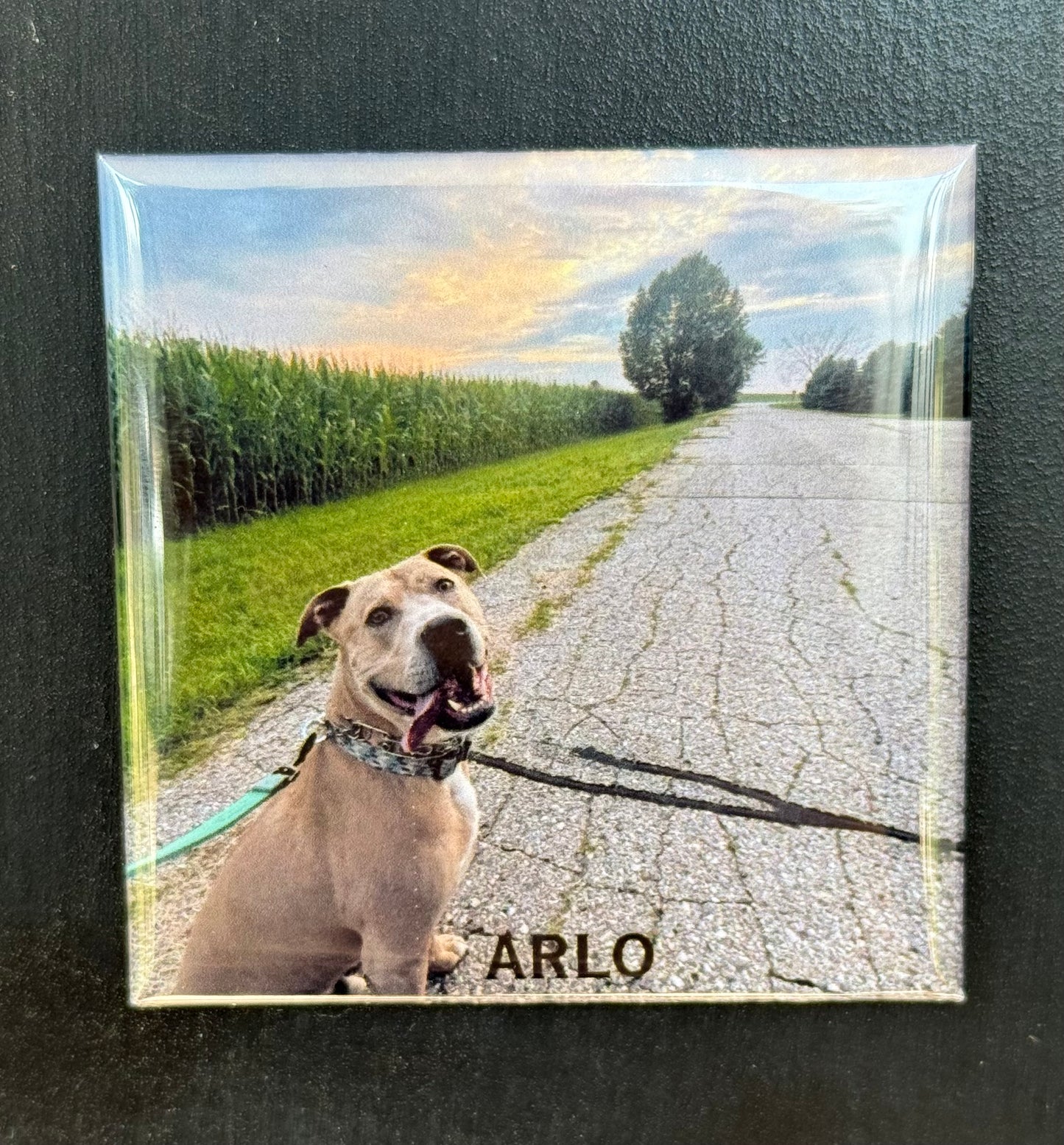 custom magnets