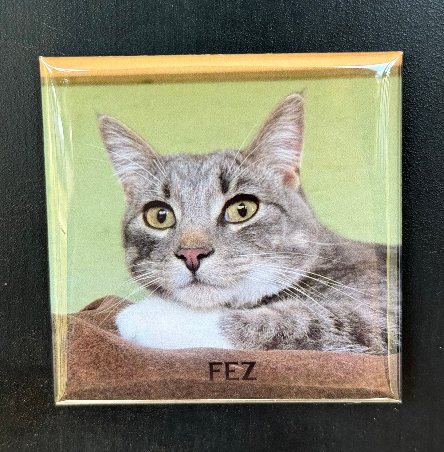 custom magnets